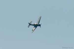 Grumman TBM Avenger